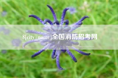 茌平全国消防招考网