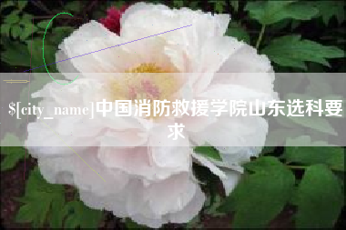 茌平中国消防救援学院山东选科要求