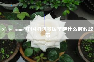 茌平中国消防救援学院什么时候政审