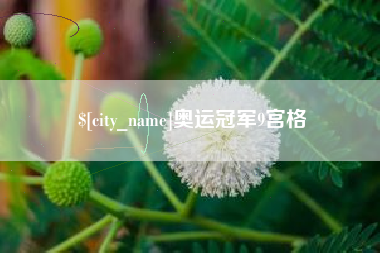 茌平奥运冠军9宫格