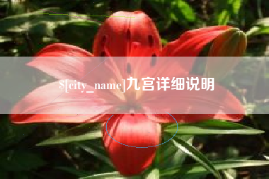 茌平九宫详细说明