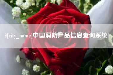 茌平中国消防产品信息查询系统1