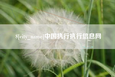 茌平中国执行执行信息网