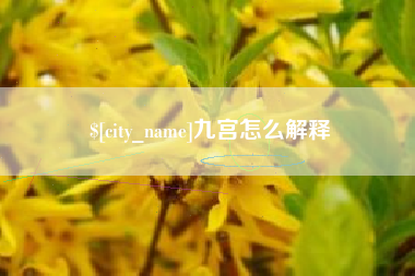 茌平九宫怎么解释