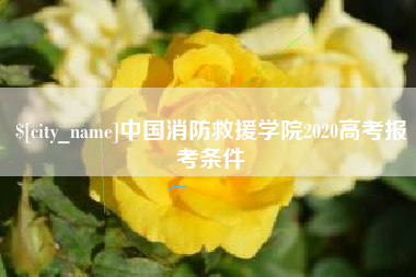 茌平中国消防救援学院2020高考报考条件