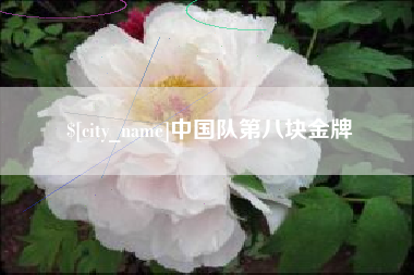 茌平中国队第八块金牌