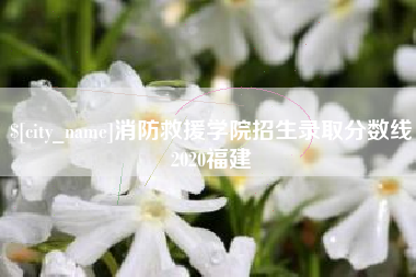 茌平消防救援学院招生录取分数线2020福建