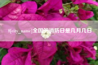 茌平全国的消防日是几月几日