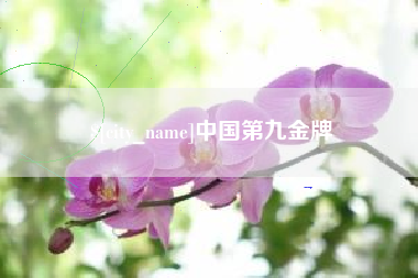 茌平中国第九金牌