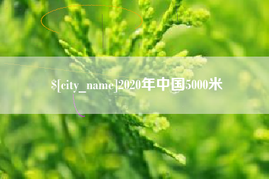 茌平2020年中国5000米