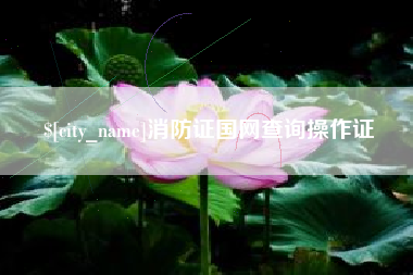 茌平消防证国网查询操作证