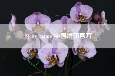 茌平中国消防官方