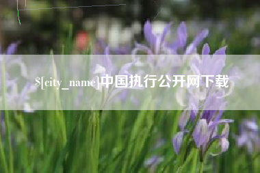 茌平中国执行公开网下载