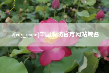 茌平中国消防官方网站域名