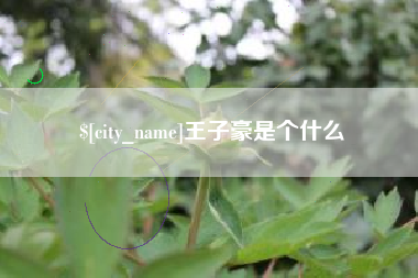茌平王子豪是个什么