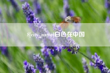 茌平白色在中国