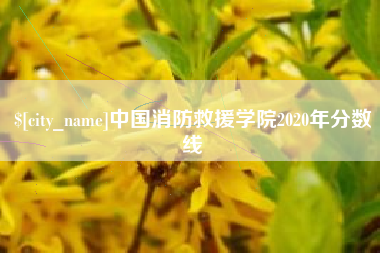 茌平中国消防救援学院2020年分数线