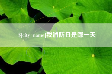 茌平我消防日是哪一天
