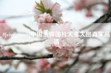茌平中国金牌图片大全大图真实高清