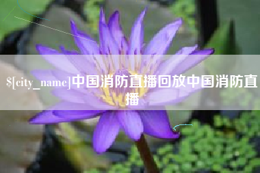 茌平中国消防直播回放中国消防直播