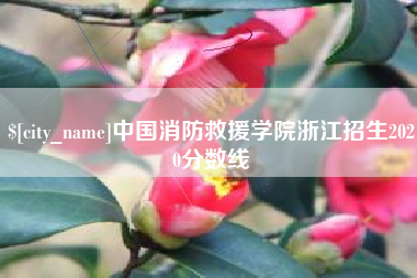 茌平中国消防救援学院浙江招生2020分数线