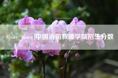 茌平中国消防救援学院招生分数