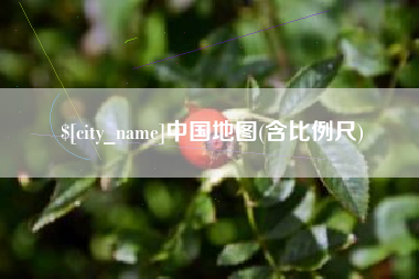 茌平中国地图(含比例尺)