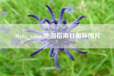 茌平地图指南针图标图片