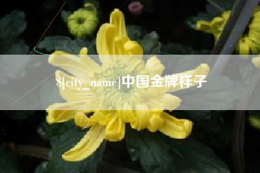 茌平中国金牌样子