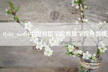 茌平中国消防学院救援学院分数线