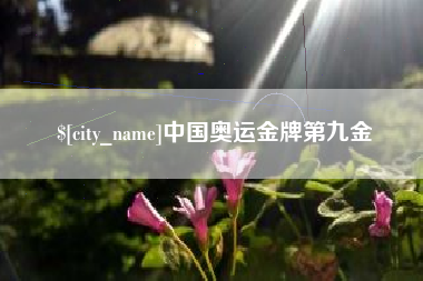 茌平中国奥运金牌第九金