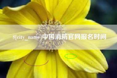 茌平中国消防官网报名时间