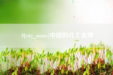 茌平中国的几个金牌