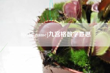 茌平九宫格数字意思