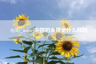 茌平中国的金牌是什么样的