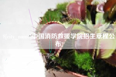 茌平中国消防救援学院招生章程公布!