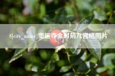 茌平奥运夺金时刻九宫格图片