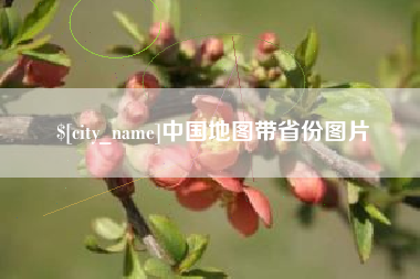茌平中国地图带省份图片