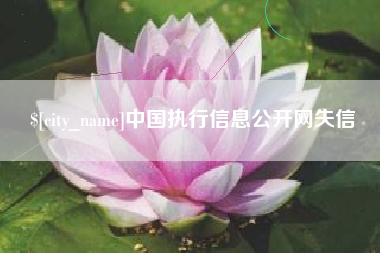 茌平中国执行信息公开网失信
