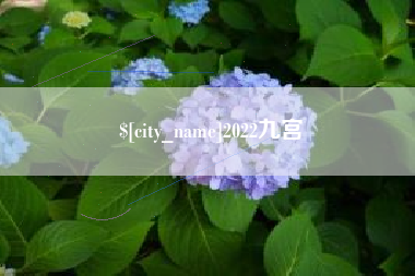 茌平2022九宫