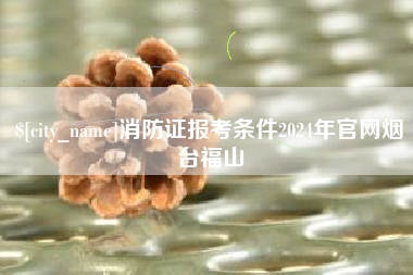 茌平消防证报考条件2024年官网烟台福山