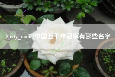 茌平中国五千米冠军有哪些名字