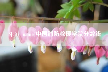 茌平中国消防救援学院分数线