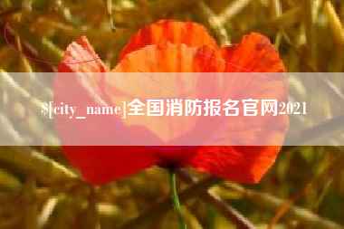 茌平全国消防报名官网2021