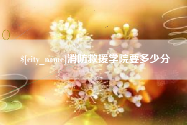 茌平消防救援学院要多少分