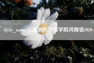 茌平中国消防救援学院河南省2020